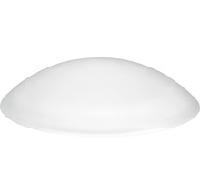 Lampplåt lampglas