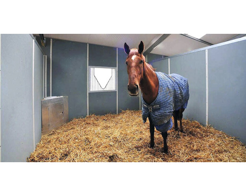Hästbox med halm och en häst med täcke