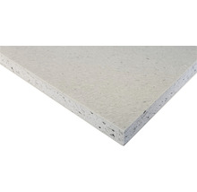 Plastskiva GOP vit 19x2440x1220 mm