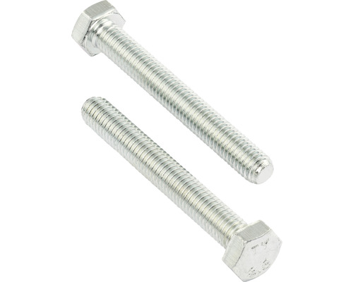 Två sexkantsskruvar av stål