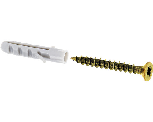 Befästningsskruvset KAISERTHAL 4x20mm mässingsöverdragen 10-pack Plugg av plast med matchande skruv