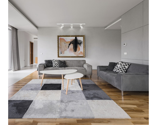 Vardagsrum med grå soffor, en lapptäcksmatta och en abstrakt målning