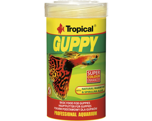 Tropical Guppy fiskmat i behållare