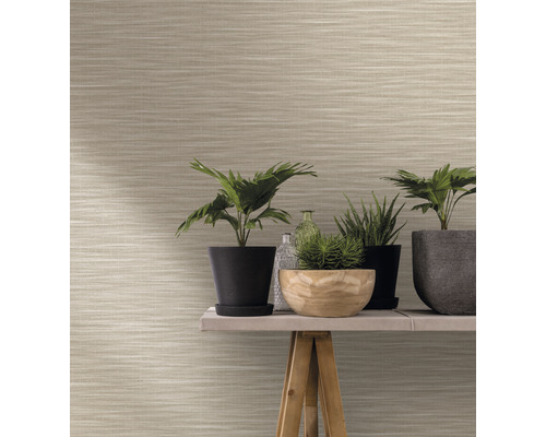 Närbild av en vägg med horisontellt mönstrad tapet och diverse krukväxter på ett träbord