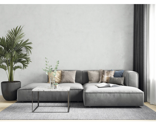 Vardagsrum med grå soffa, matta och krukväxt