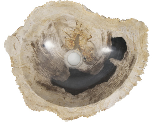 Tvättställ av förstenat trä