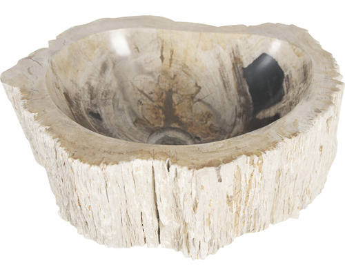 Tvättställ av förstenat trä