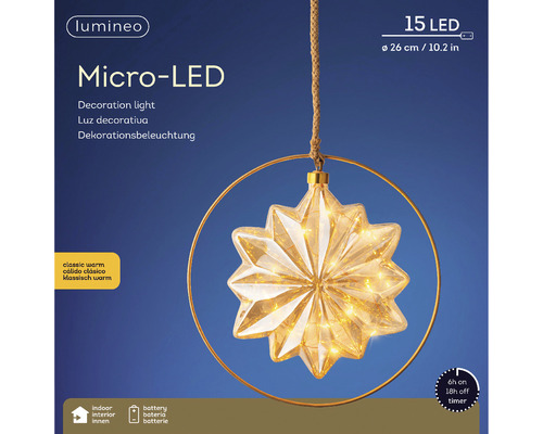 Micro LED dekorationslampa med stjärnform och upphängningsring, 26 cm diameter