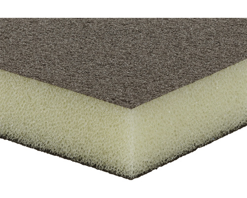 Rengöringssvamp med slipyta