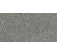 Grå klinkerplatta med spräcklig yta