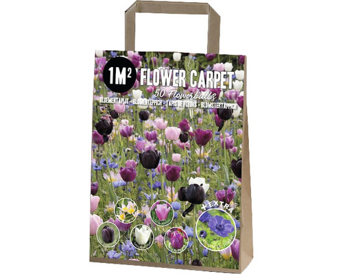 Blomsterlökar i papperspåse för en blomstermatta på en kvadratmeter