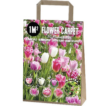 Förpackning med blomsterlökar för en kvadratmeter blomsterrabatt