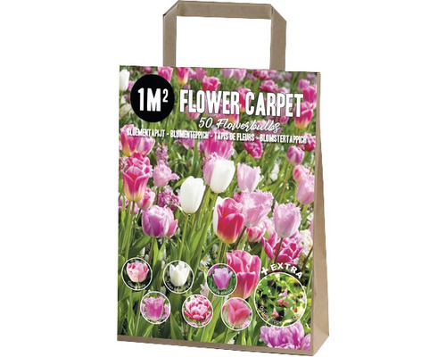 Förpackning med blomsterlökar för en kvadratmeter blomsterrabatt