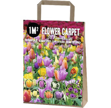 Blomsterlöksblandning för en kvadratmeter blomsterrabatt i en papperskasse.