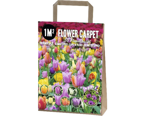 Blomsterlöksblandning för en kvadratmeter blomsterrabatt i en papperskasse.