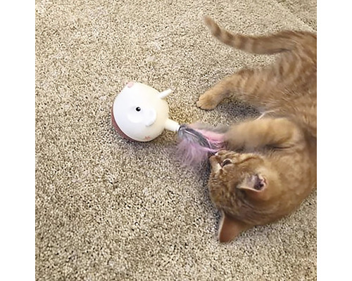 Lekfull katt med kattleksak på mattan