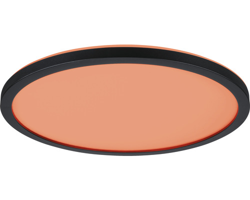 Rund taklampa med svart ram