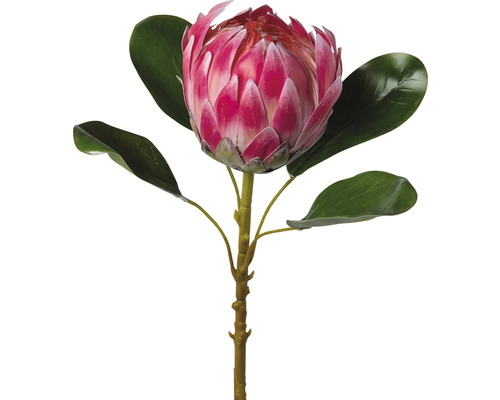 Konstgjord blomma protea 53cm rosa