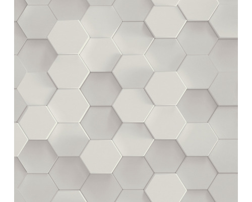 Tapet A.S. CRÉATION Hexagon 3D gråvit 10,05x0,53m