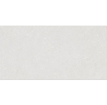 Klinker Alpen 30x60cm vit matt