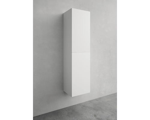 Hängande badrumsskåp med två dörrar