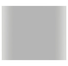 Spegel med belysning NORO Deco 100x80 cm LED