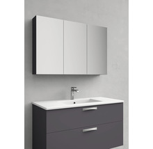 Spegelskåp NORO Flex 1000x650 mm antracit