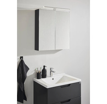 Spegelskåp NORO Flex 600x650 mm antracit