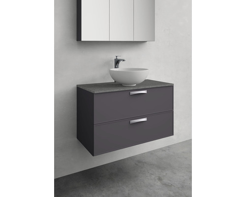 Badrumsmöbelset med tvättställ, underskåp med två lådor, tvättställsskål och spegelskåp