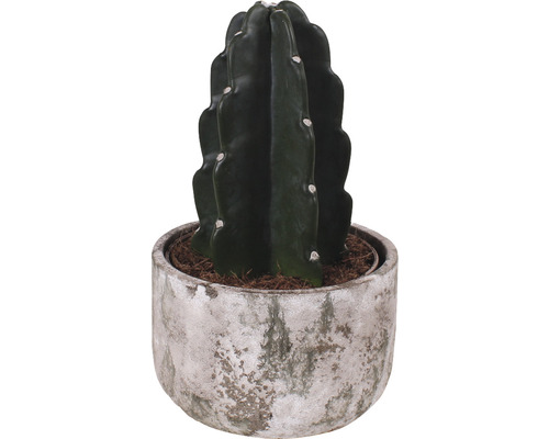 Cuddly Kaktus taggfri FLORASELF ca 25cm Ø18cm inkl. keramikkruka Deep Forest