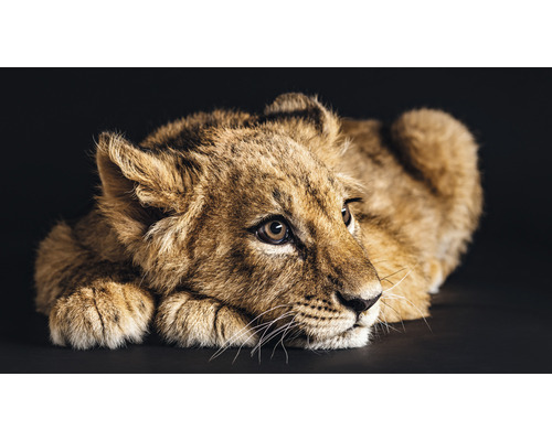 Canvas Lovely Lion 100x180cm