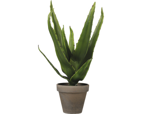 Konstväxt MICA Aloe vera i kruka grön 30xØ16cm