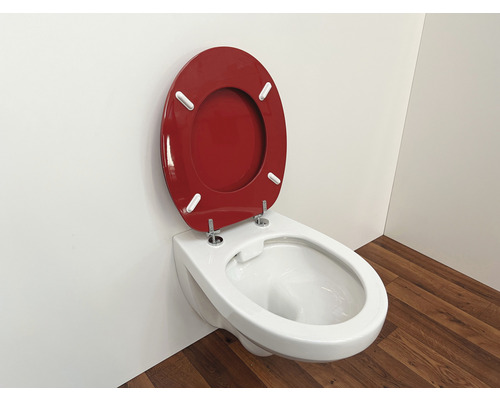 Vägghängd toalett med röd toalettring
