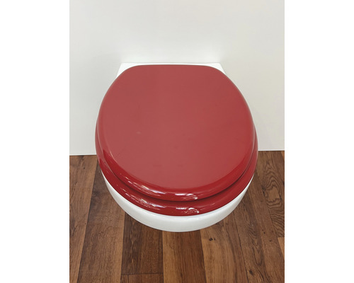 Toalettsits med lock