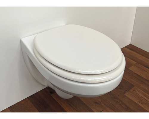 Vägghängd toalett med toalettlock