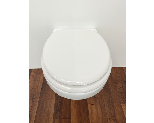 Vägghängd toalett med toalettlock på trägolv