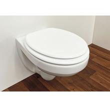 Vägghängd toalett med stängt toalettlock i badrummet