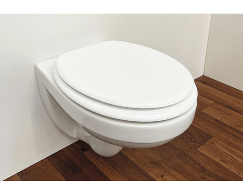 Vägghängd toalett med stängt toalettlock i badrummet