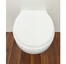 Vit vägghängd toalett med stängt lock framför en vägg