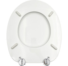 Toalettsits av plast med fäste