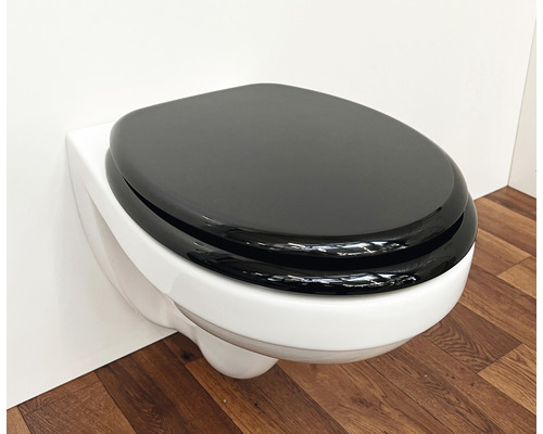 Vägghängd toalett med toalettsits