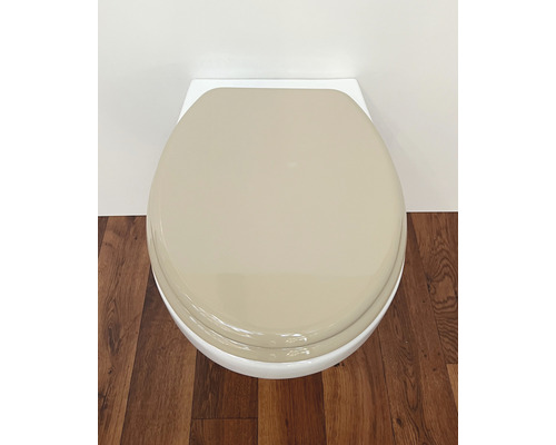 Bild på en toalett med stängd toalettsits