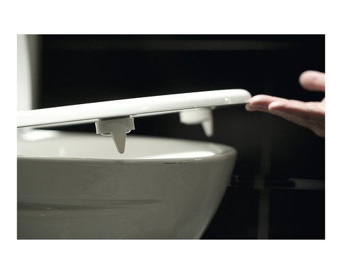 Närbild av en monterad toalettring på en toalett