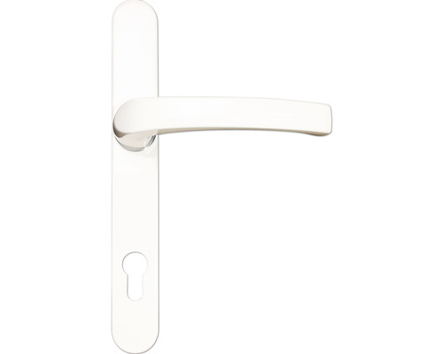 Dörrhandtag med långskylt