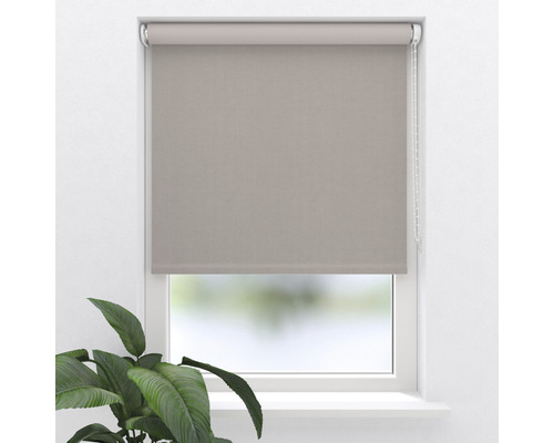 Fönster med rullgardin för ljusreglering