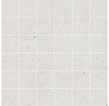 Mosaik granitkeramik 14566 beige 30 x 30 cm