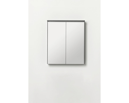 Spegelskåp med två dörrar för badrummet