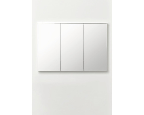 Spegelskåp HAFA Edge trä vit matt LED 100x70 cm