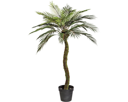 Konstväxt Metroxylon Sagu palm ca 120cm