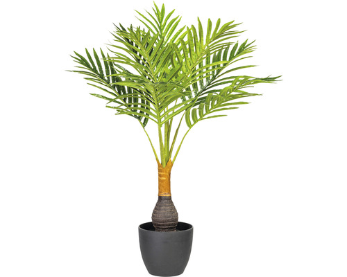 Konstväxt Howea Kentia palm ca 70cm grön